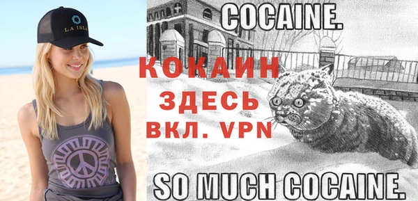 хмурый Алагир