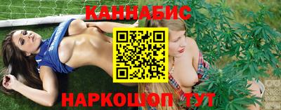 альфа пвп Волгодонск