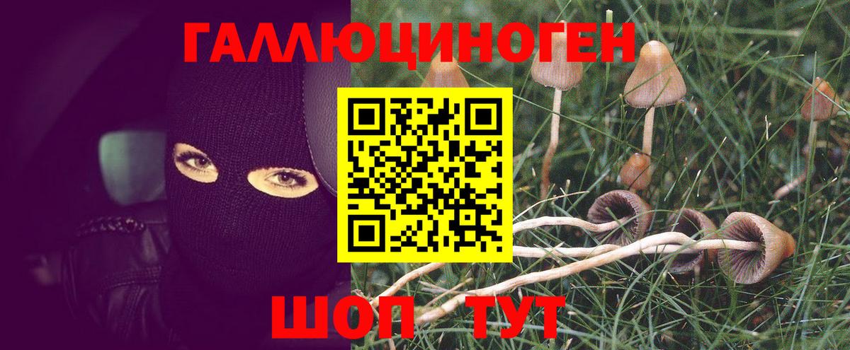 Галлюциногенные грибы MAGIC MUSHROOMS Лыткарино
