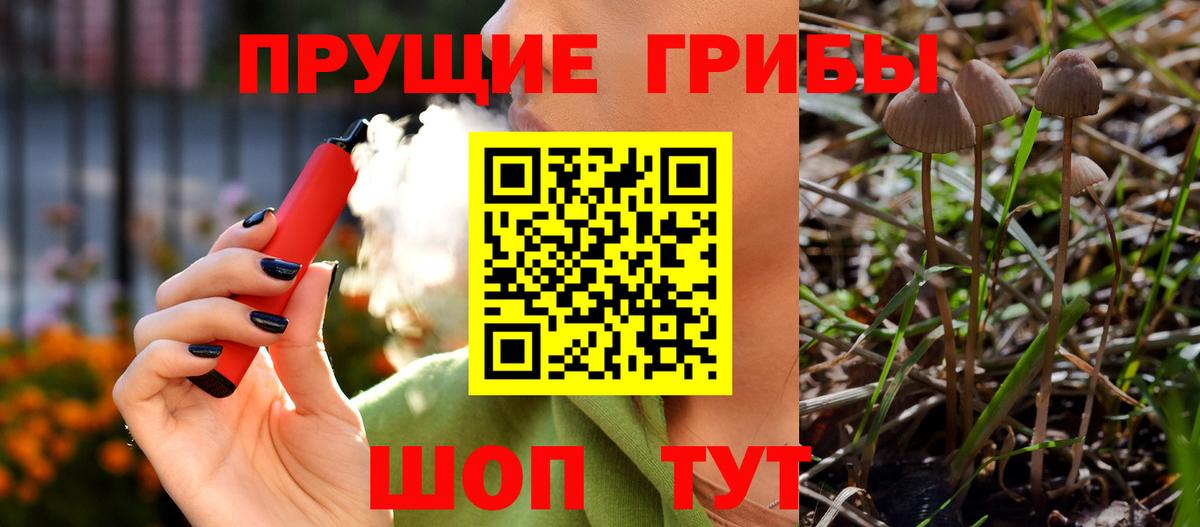 Лыткарино  Псилоцибиновые грибы мухоморы  Псилоцибиновые грибы мухоморы  Вход с VPN 